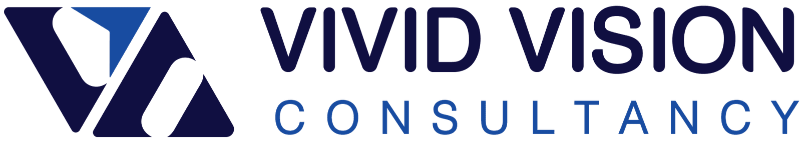 Vivid Vision Consultancy